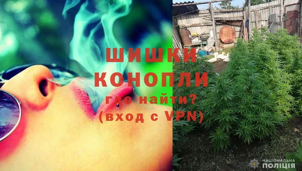 прущие грибы Алексин