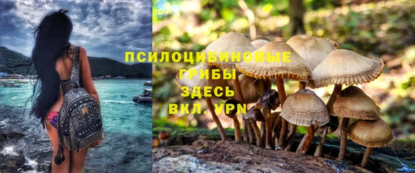 mix Алексеевка