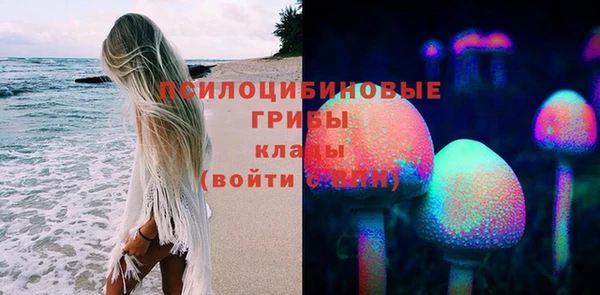 прущие грибы Алексин