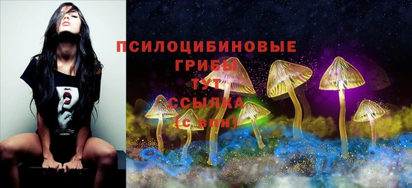 мет Алзамай