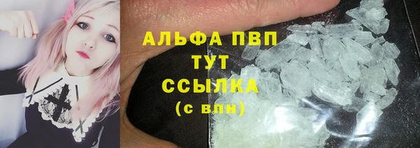 гашик Заволжск