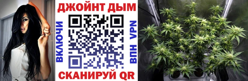купить закладку  Завитинск  Бошки Шишки OG Kush 